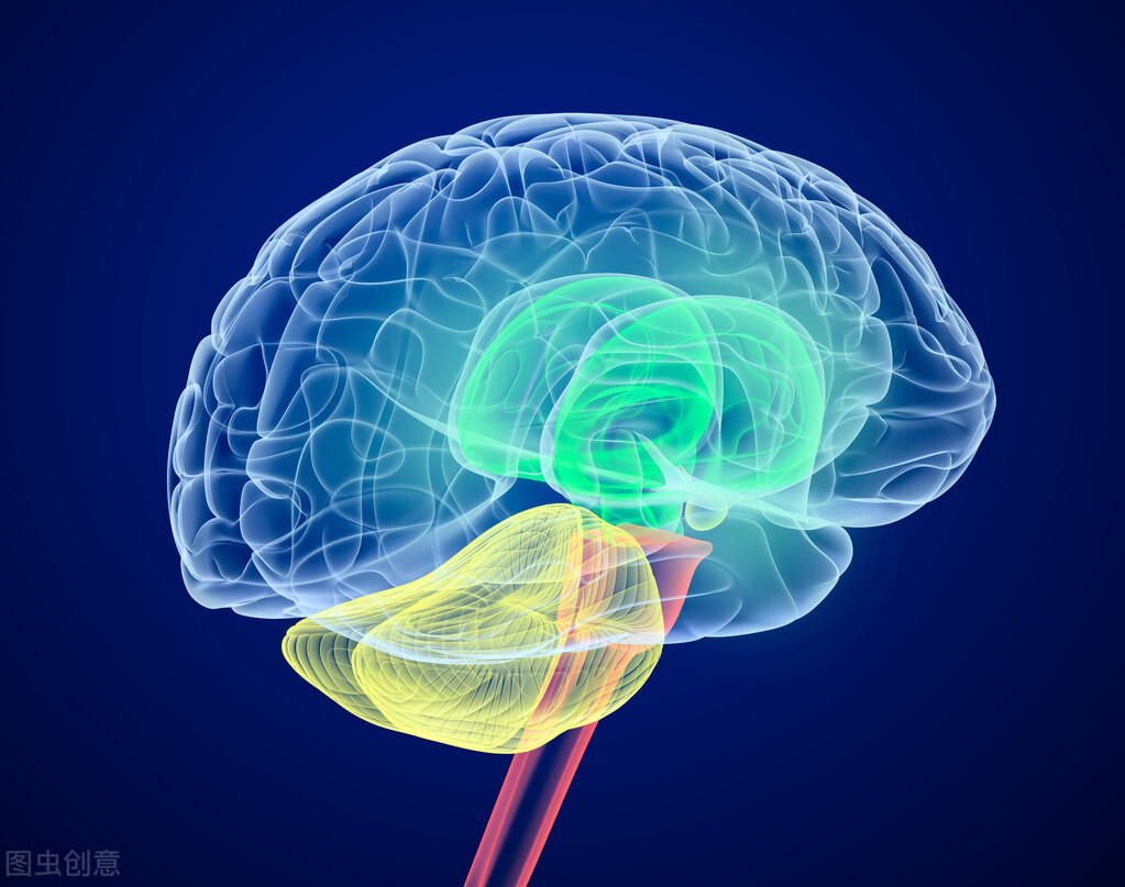 记忆力下降，该怎么办？用6种方法加强大脑健康、激发神经反应