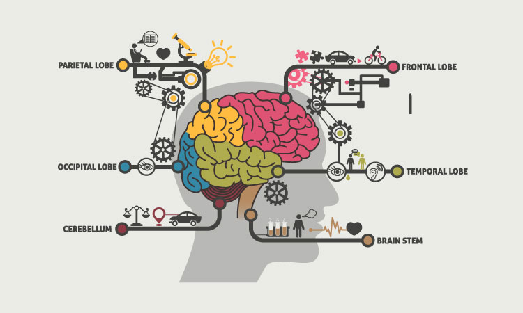 这样训练你的大脑，你会变得更聪明！分享6种有效的思维训练策略