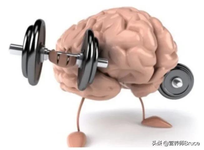 吃什么补记忆力最快，在营养学中，有哪些物质可以促进大脑发育，增强记忆力？