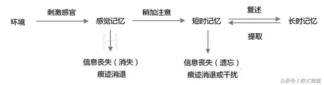 孩子学习最主要的原因就是记忆力，详解记忆及遗忘规律，助力孩子