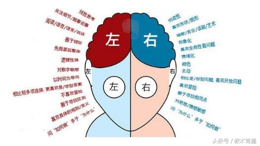 孩子学习最主要的原因就是记忆力，详解记忆及遗忘规律，助力孩子