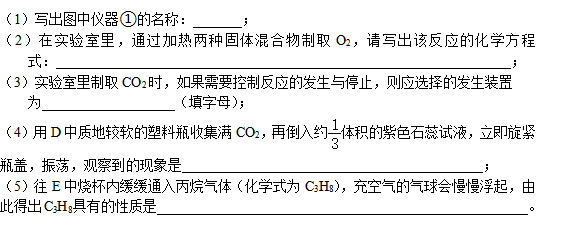 2020-2021学年广东省深圳市龙岗区九年级（上）期末化学试卷