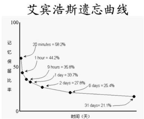 如何高效记忆