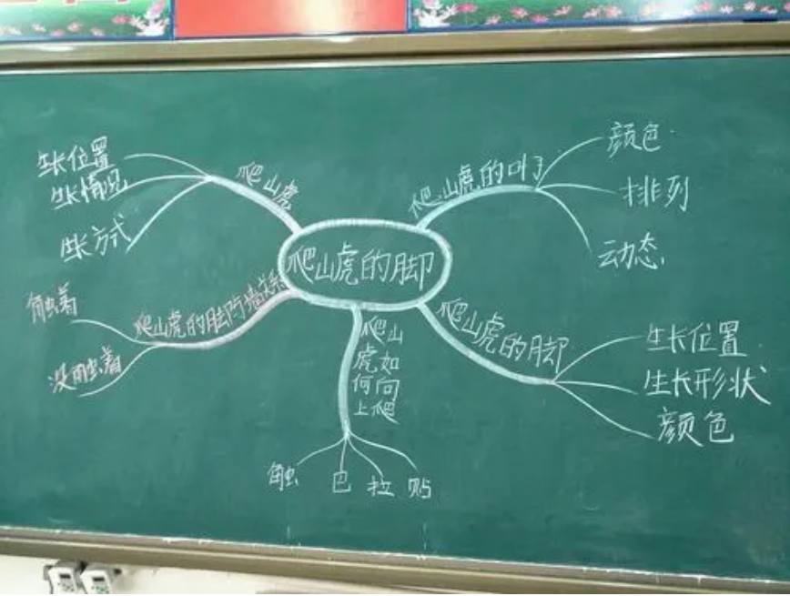 高知姥姥培养两代学霸，她说：小学是关键，功夫主要下在这里