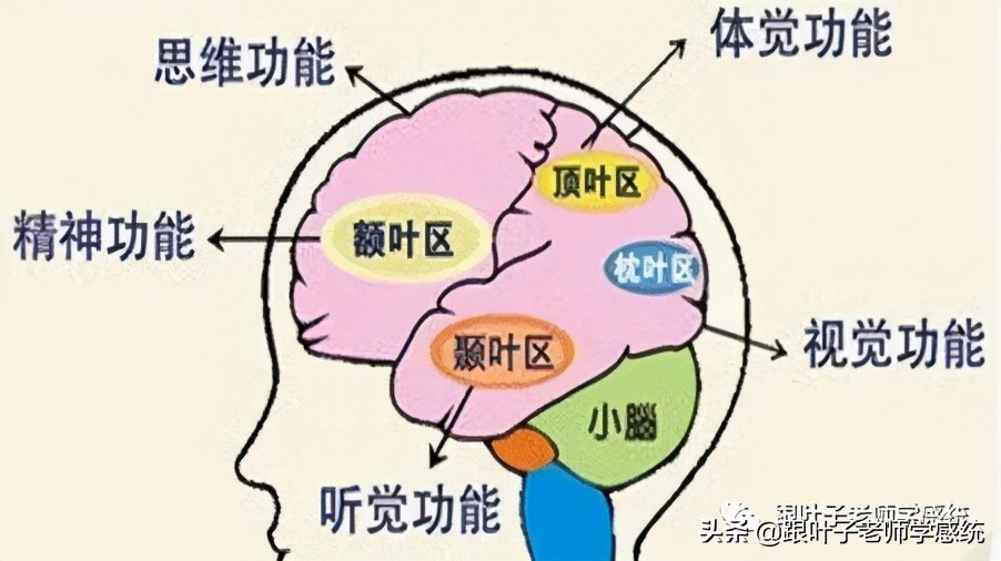 影响孩子记忆力的4个“元凶”，家长一定要避坑