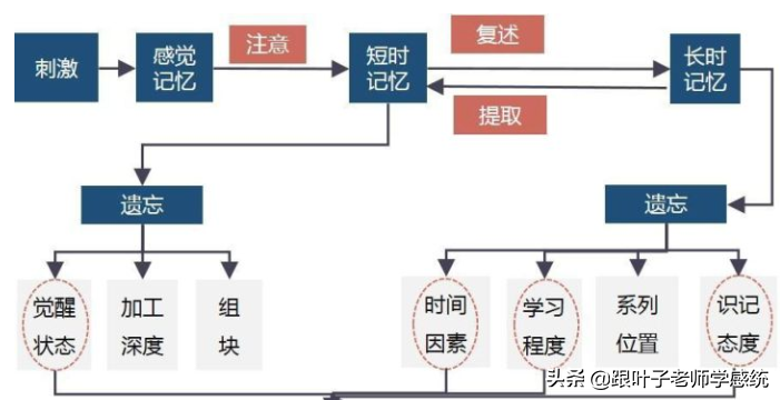 影响孩子记忆力的4个“元凶”，家长一定要避坑