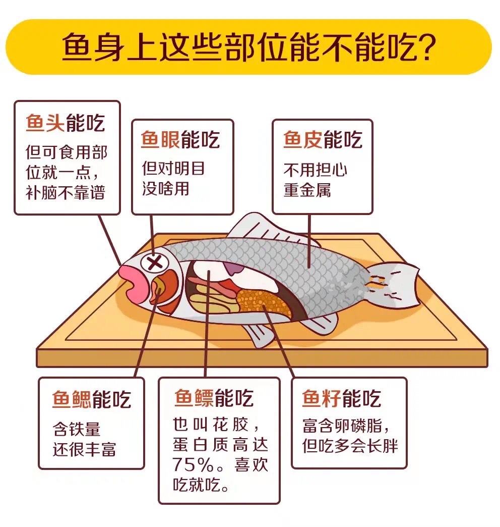 抓住大脑发育的黄金时期，常吃4种食物，或可让宝宝变得更聪明