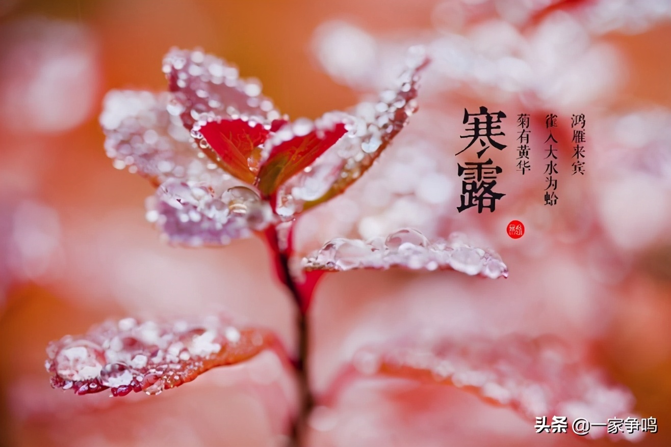 巧记“二十四节气”：一个“节气”，一句话