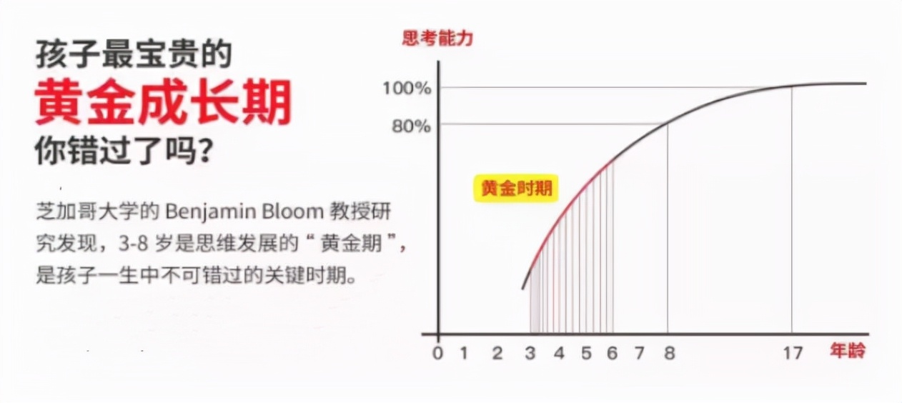 芝加哥大学教授：3-8岁是儿童思维发展的黄金期，家长要重视培养