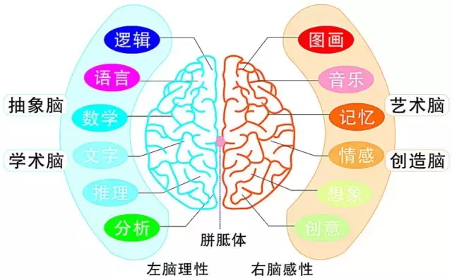 右脑记忆法，五分钟让你做到过目不忘！