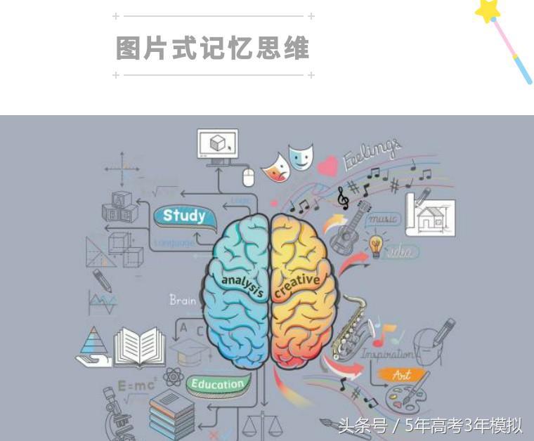 学习记不住？是大脑的问题还是智商问题？其原因是……