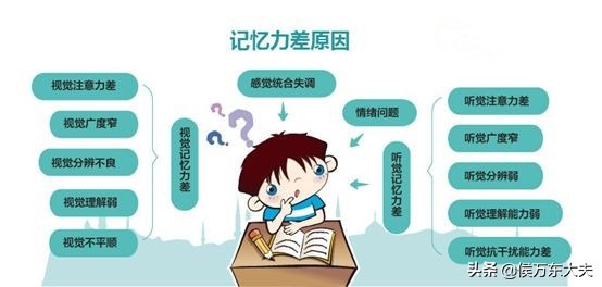 背书背很久脑子还是空的，学过就忘、背书吃力、总是丢三落四？提升专注力是关键！