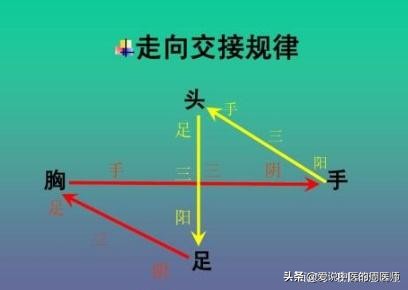 老中医5分钟教你看懂12经络，最简单的十二经络讲解，收藏了吧