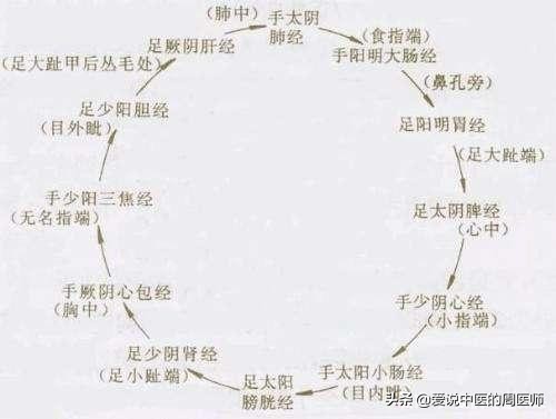 老中医5分钟教你看懂12经络，最简单的十二经络讲解，收藏了吧