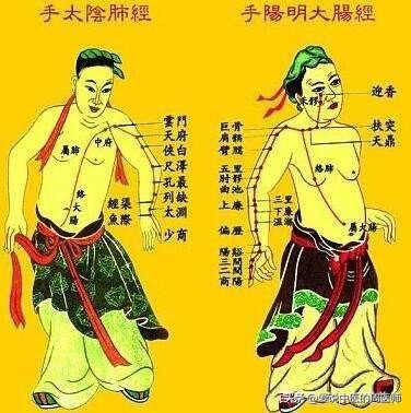 老中医5分钟教你看懂12经络，最简单的十二经络讲解，收藏了吧