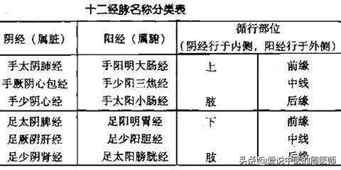 老中医5分钟教你看懂12经络，最简单的十二经络讲解，收藏了吧