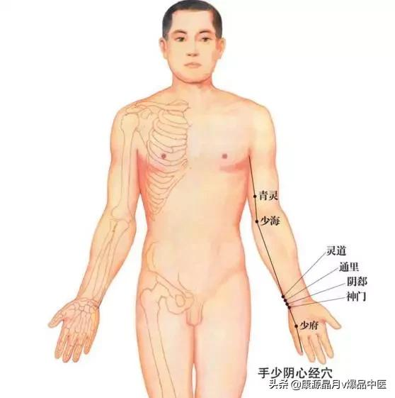 天下无疾：十二经脉循行要穴及各部常见病症总结