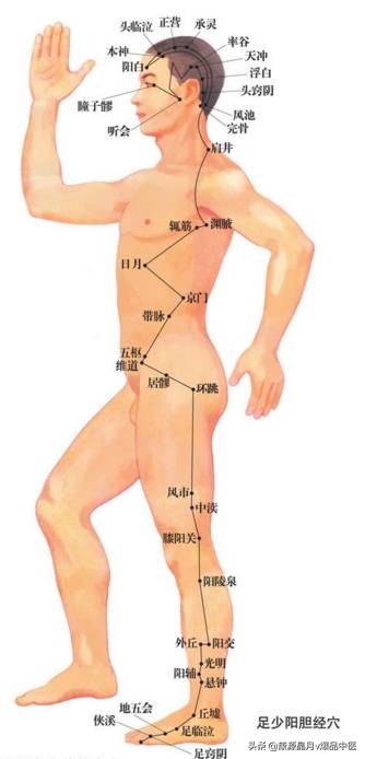 天下无疾：十二经脉循行要穴及各部常见病症总结