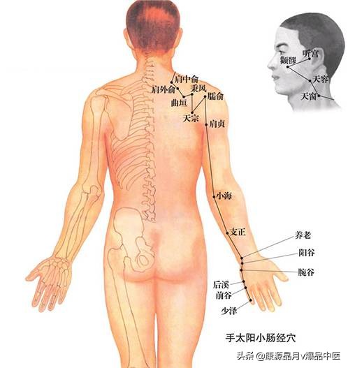 天下无疾：十二经脉循行要穴及各部常见病症总结