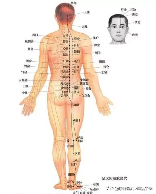 天下无疾：十二经脉循行要穴及各部常见病症总结