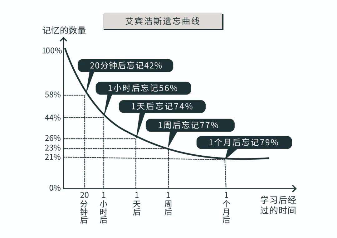 孩子一学就忘怎么办？掌握大脑记忆规律，巧妙帮助孩子提升记忆力