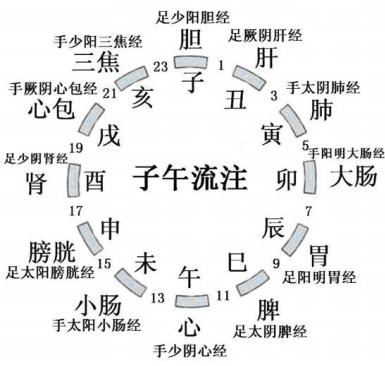 子午流注 | 寅时（上午三点至五点）肺旺，肺虚的人此时睡不着