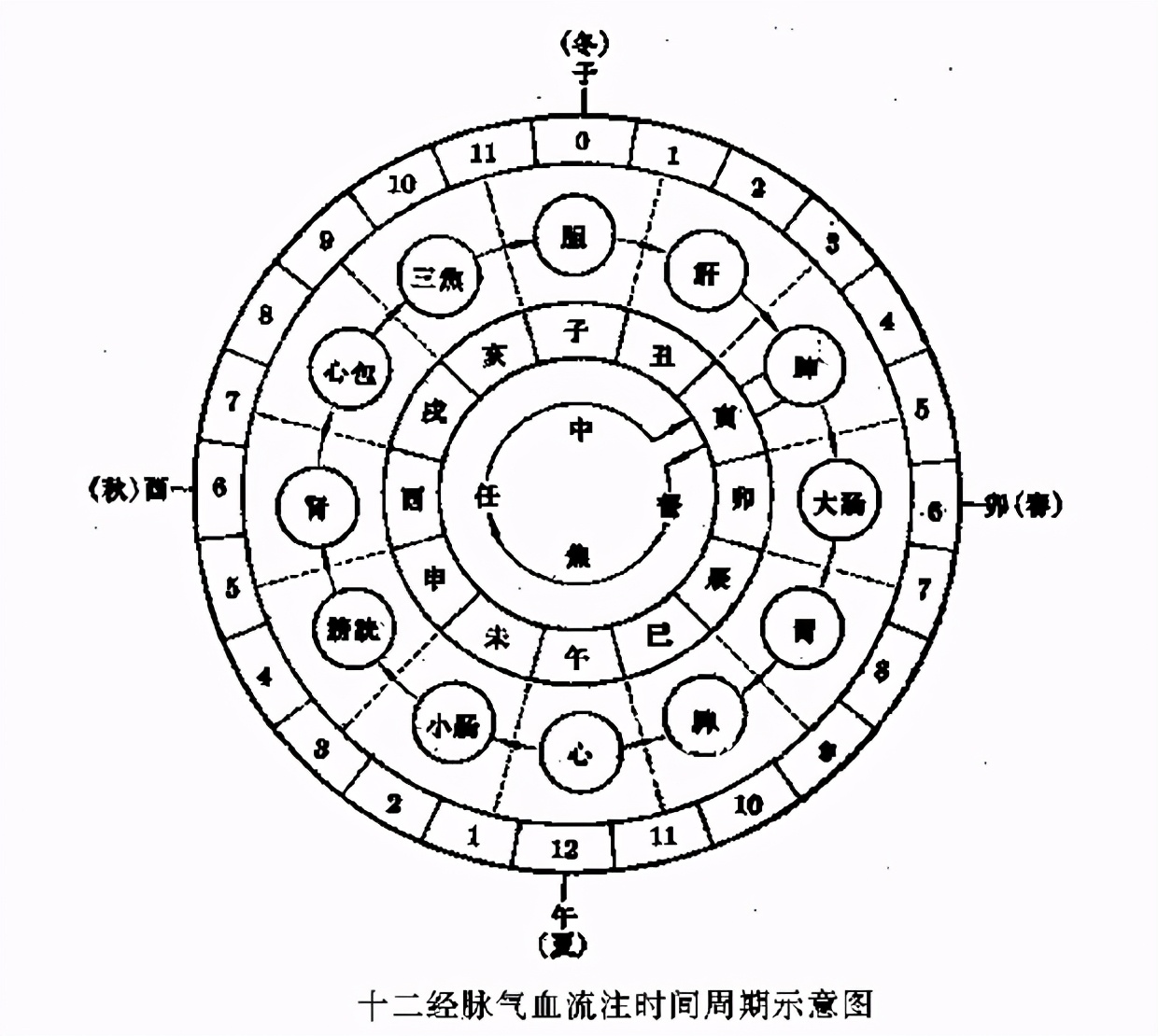 一文搞懂“子午流注”与经气运行的关系