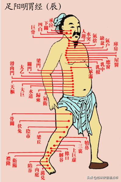 子午流注—辰时，遵循天地自然规律，为自己的身体健康保驾护航