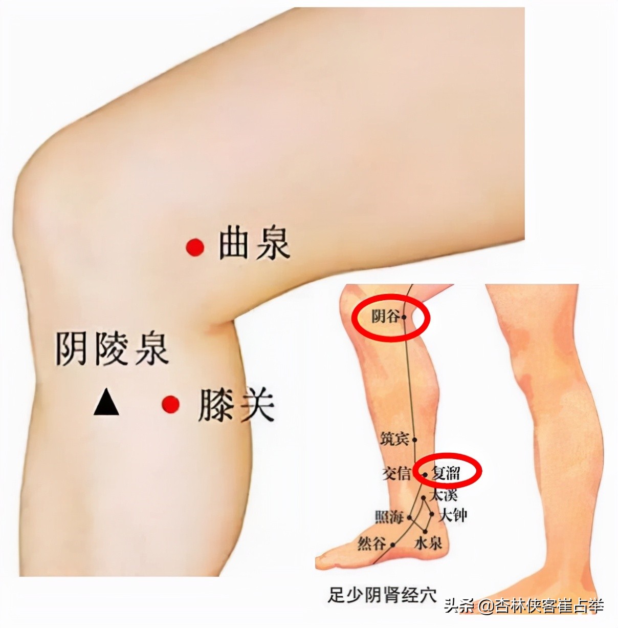 子午流注——酉时，遵循天地自然规律，为自己的身心健康保驾护航