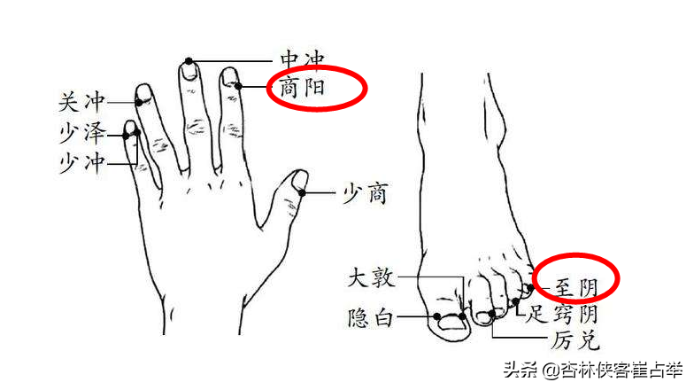 子午流注——酉时，遵循天地自然规律，为自己的身心健康保驾护航