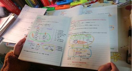 美女学霸“绘本笔记”走红 网友：堪称艺术品