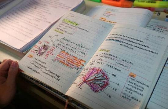 美女学霸“绘本笔记”走红 网友：堪称艺术品