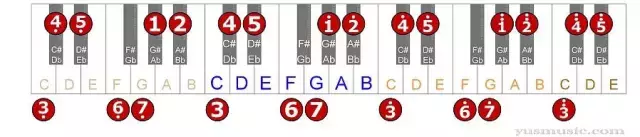 12大调音阶与键盘音名、简谱的对应表