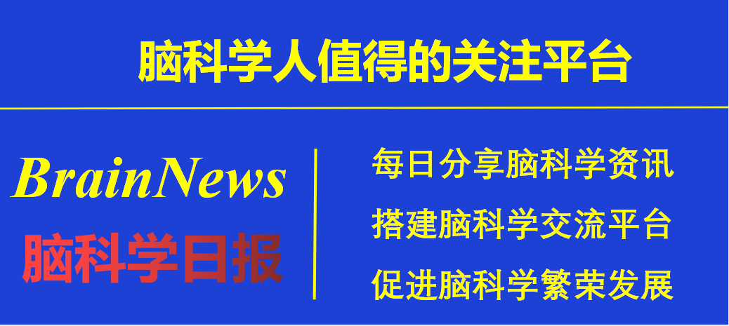 脑科学日报｜突破血脑屏障！这种新药望开启治疗新征程