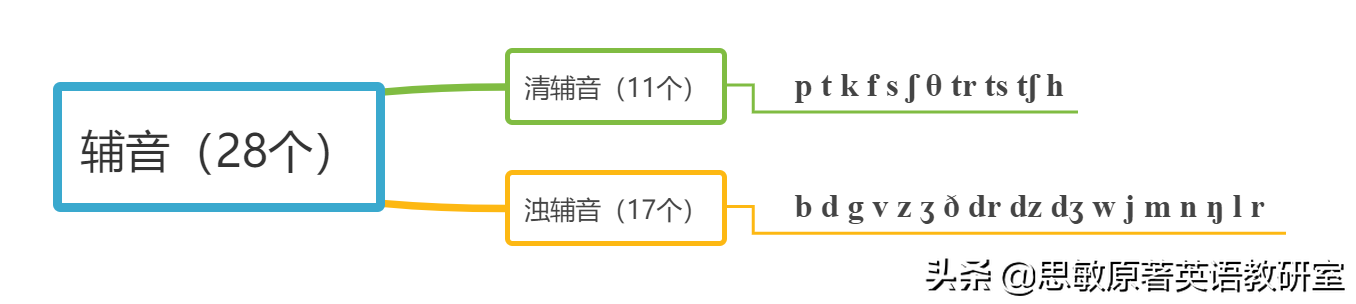 英语中的音标有多少个？20个元音，28个辅音，一起来get