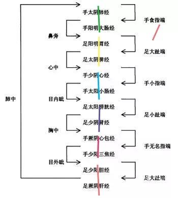 通道医学之：十二经络