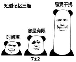 教考难点——三种记忆类型 看完轻松搞定