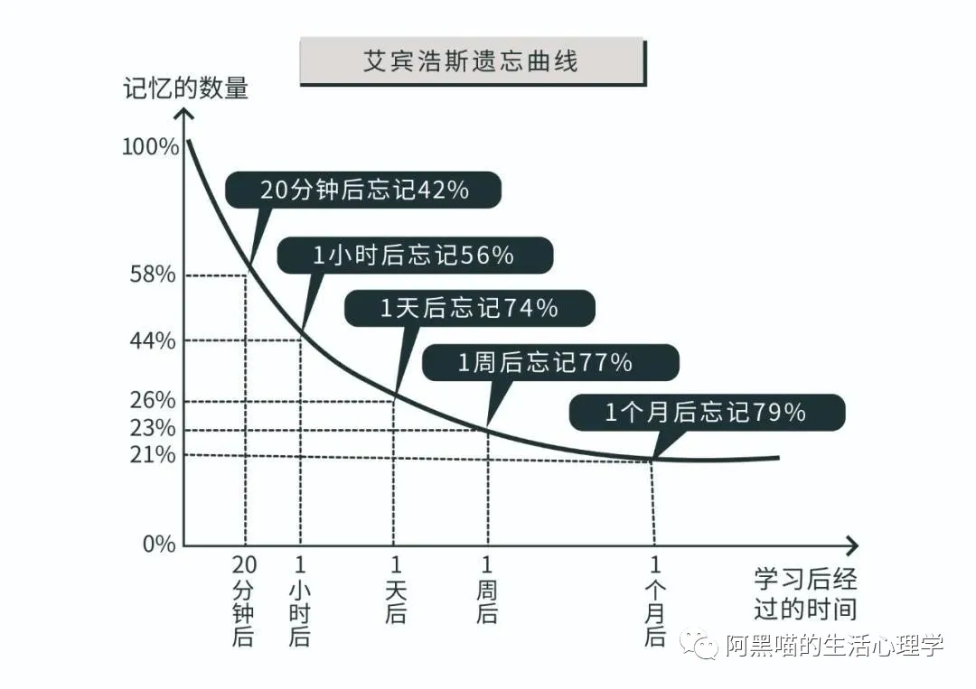 普通心理学 | 记忆是如何发生的