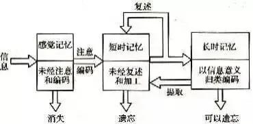 心理学解释：记忆不仅是天生的，也有规律可循