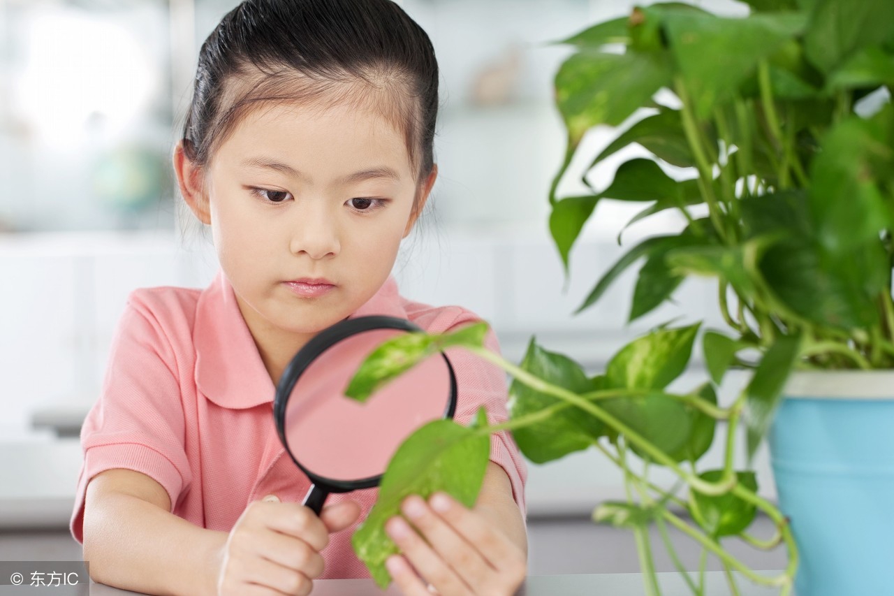 10大妙招培养出孩子惊人记忆力！天天坚持绝对有效，后悔知道晚了