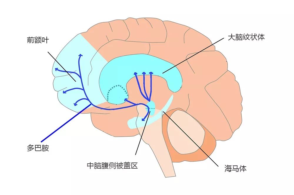 孩子注意力不集中，记忆力差，是因为缺乏这种物质，4招来改善