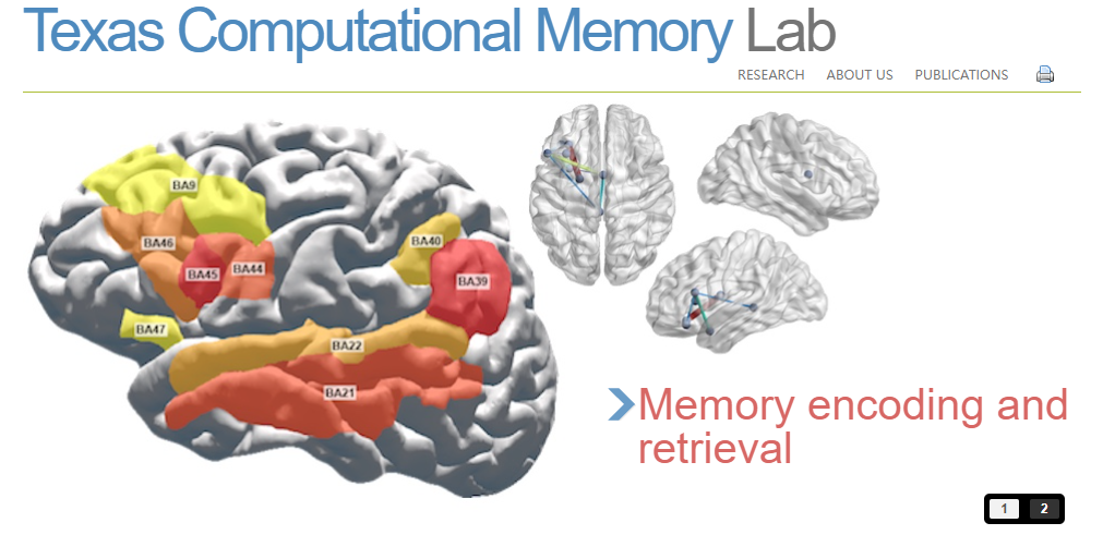 人类记忆究竟如何形成及提取？迄今最清晰证据出现