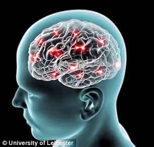 大脑是如何记住东西的？ 科学家首次揭示记忆过程