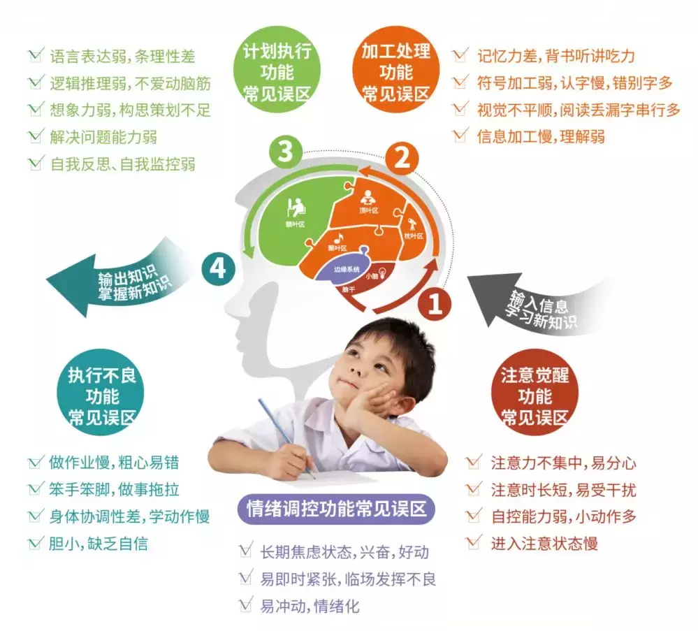 孩子背书吃力，不爱阅读，学过就忘？提升专注力是关键！