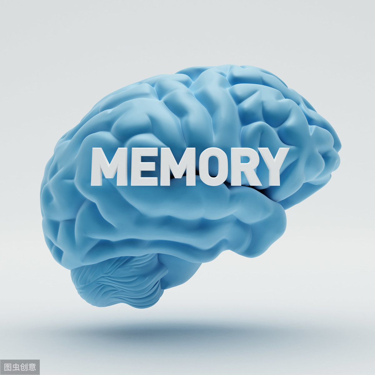 科学证明记忆力无法提升，但是记忆效率可以提高，记忆方法介绍