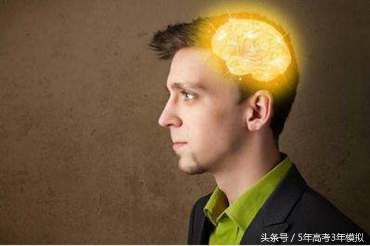 学习记不住？是大脑的问题还是智商问题？其原因是……