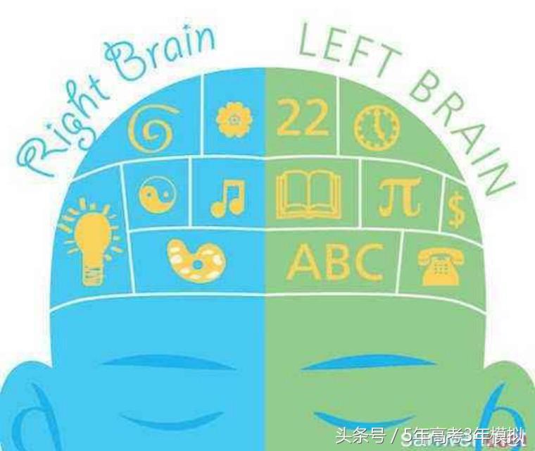 学习记不住？是大脑的问题还是智商问题？其原因是……
