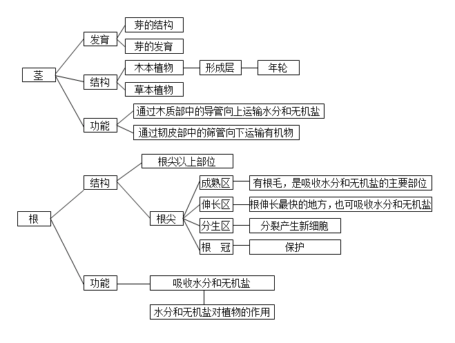 怎样学好初中生物