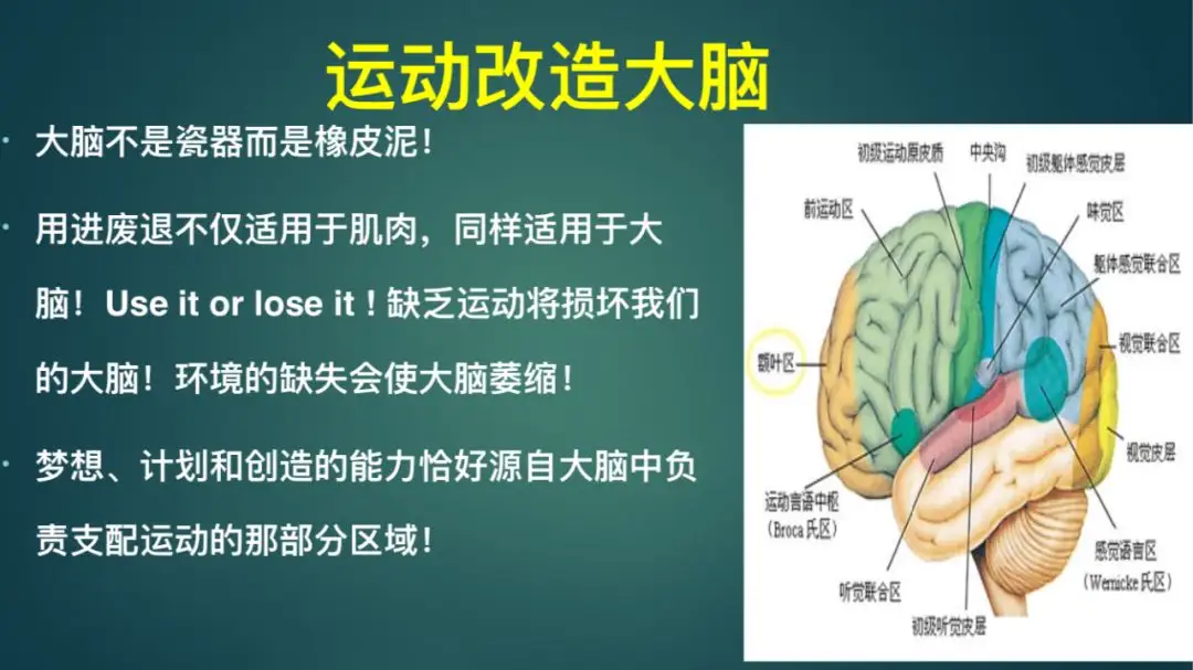 10个“黄金”习惯，让你的头脑保持敏锐，不管你的年纪有多大