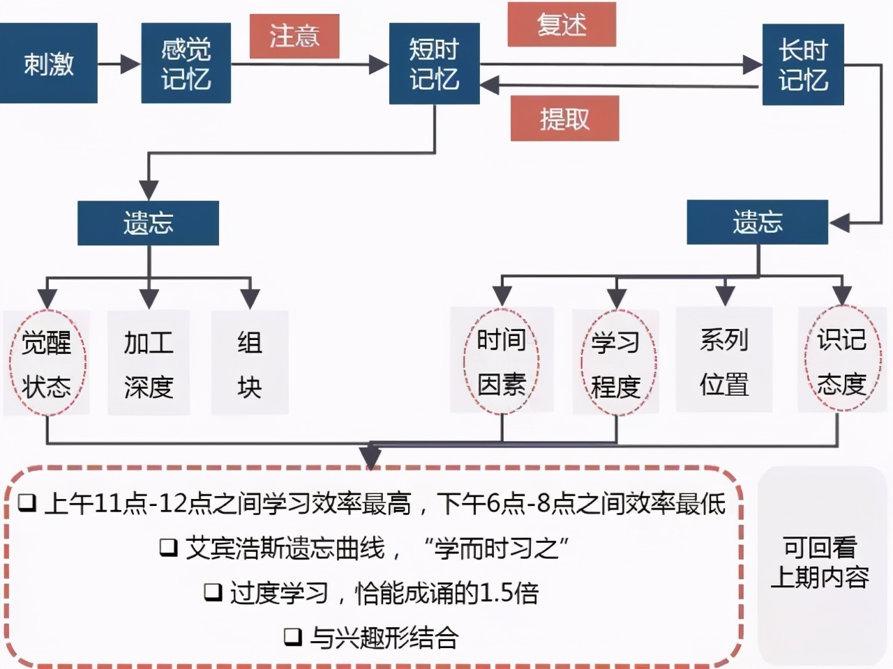 为什么很努力在背，孩子还是记不住？